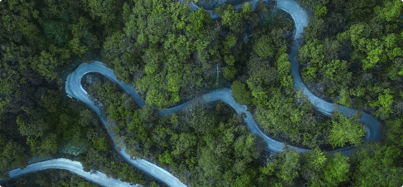 Social Responsibility