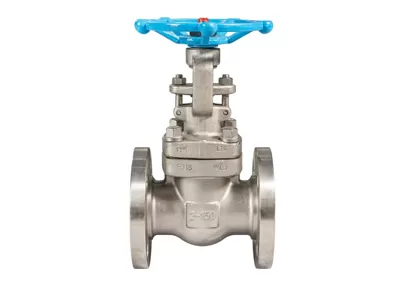 What Is a Gate Valve?