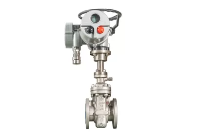 Globe Valves vs. Gate Valves vs. Ball Valves: Which Do You Need?