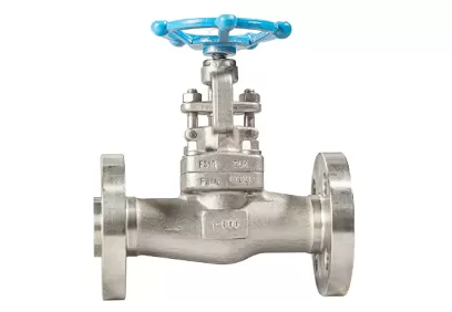 Difference Between One-Way Valve and Check Valve