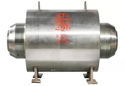 What is a Check Valve and How Does it Work?