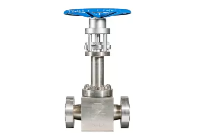 Valve Material Tips: Forged Steel Vs Carbon Steel