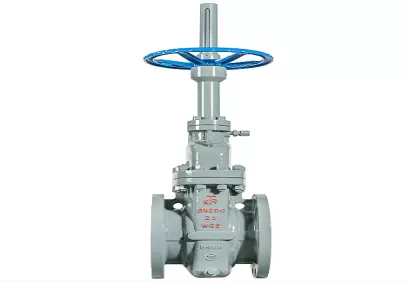 Everything You Need To Know About Manual Valves